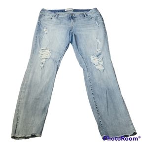 Torrid Boyfriend Lace Capri